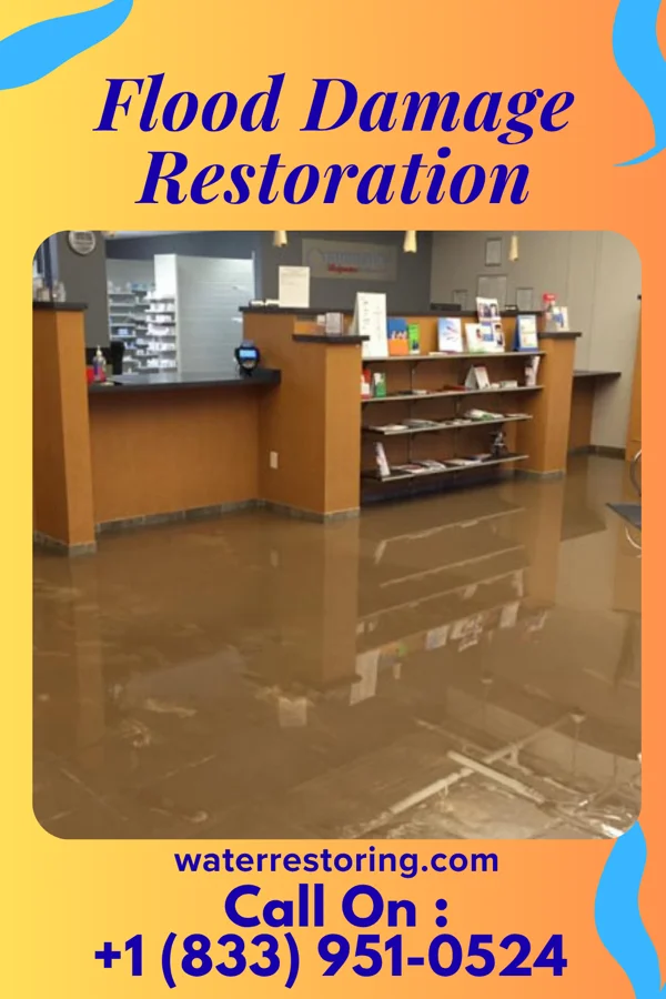 Flood Damage Restoration in Morrill, NE