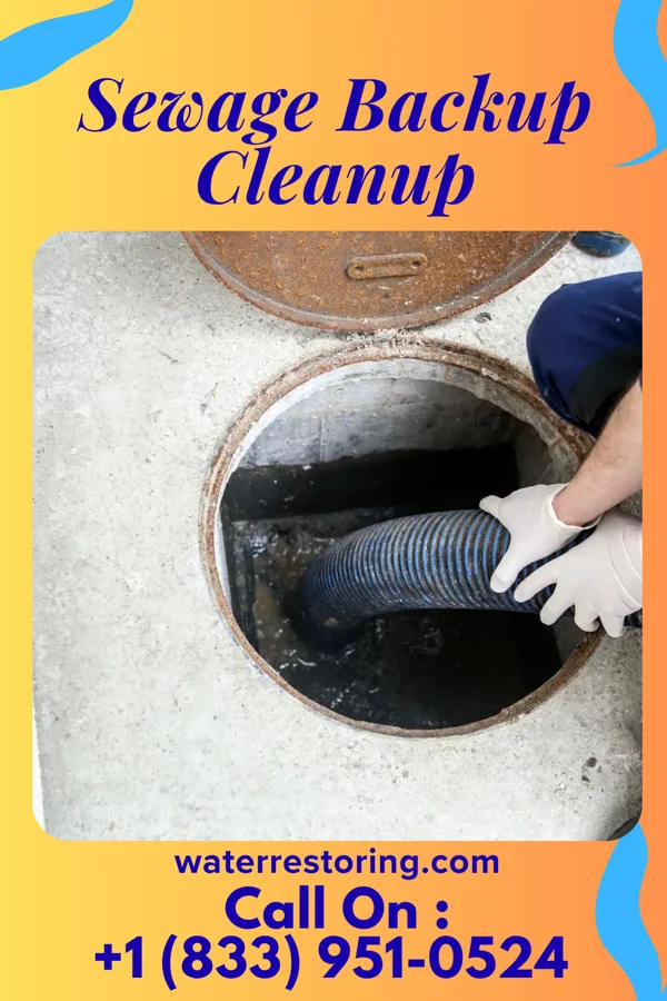 Sewage Backup Cleanup in Morrill, NE